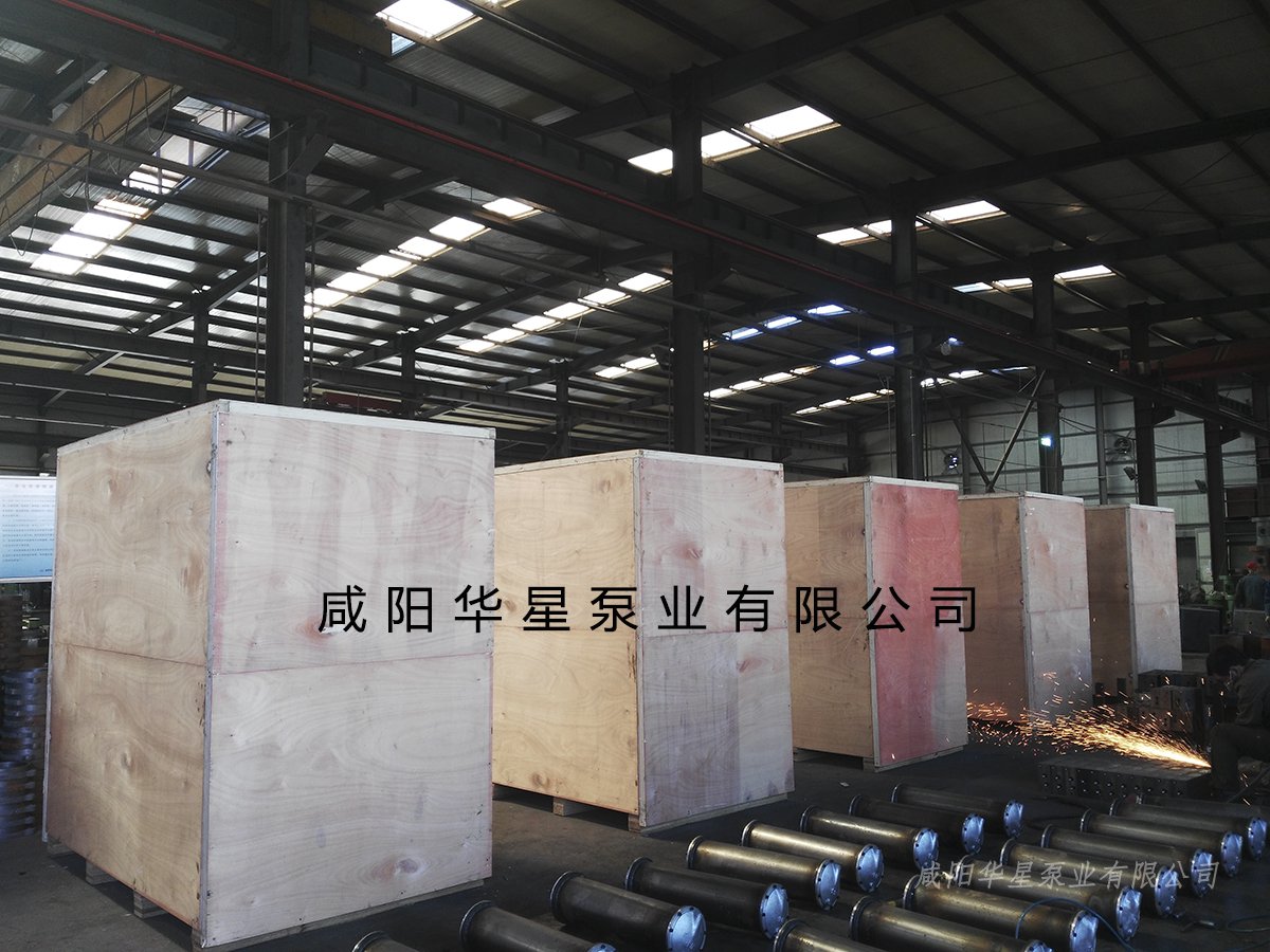 陶瓷(ci)柱塞泵發(fa)貨視頻