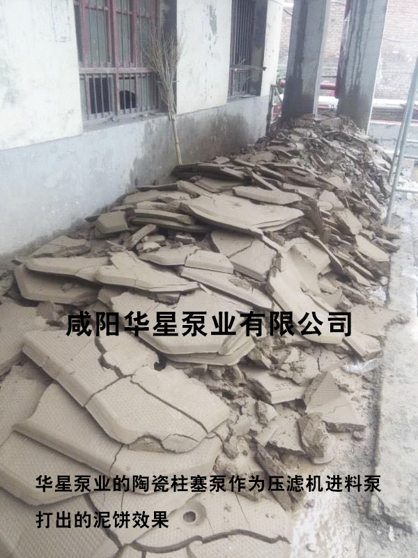 華星泵業(ye)泥餅-水印(yin)