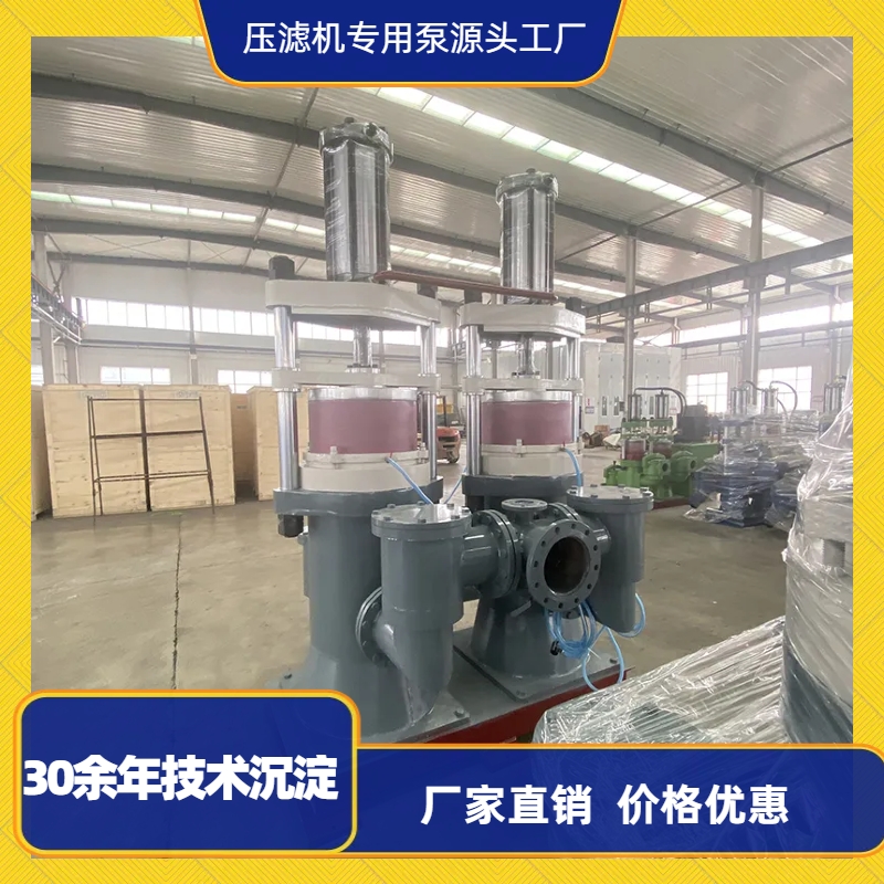 污泥(ni)柱塞(sai)泵工(gong)作原(yuan)理